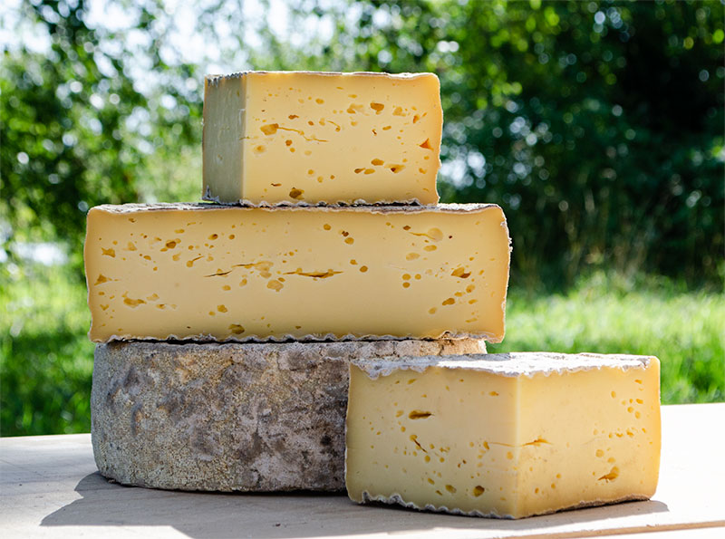 La Tome Bray : un de nos fromages normands à pâte pressée au lait cru, bio de notre ferme