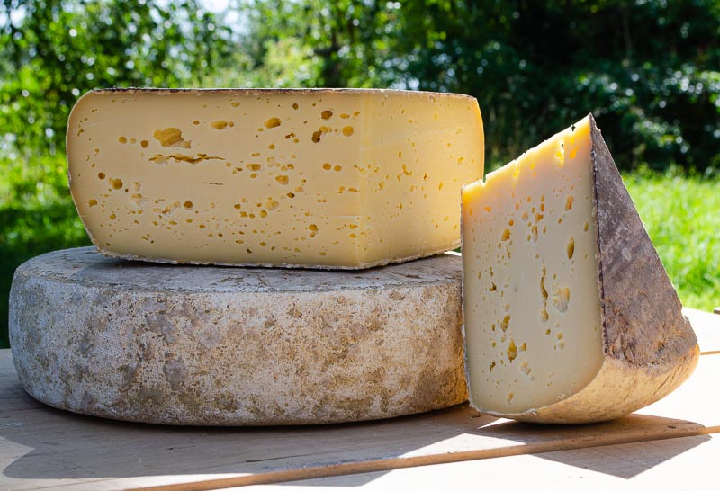 La Meule de Bray : un de nos fromages normands à pâte pressée cuite et au lait cru, bio de notre ferme