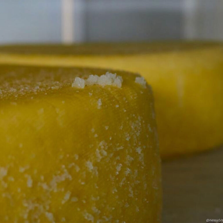Des fromages 100% fermiers et normands, fabriqués à partir du lait cru bio de nos vaches