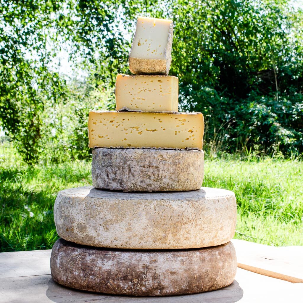 Notre spécialité est la production et l'affinage de fromages à pâte pressée