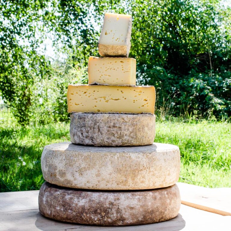 Notre spécialité est la production et l'affinage de fromages à pâte pressée