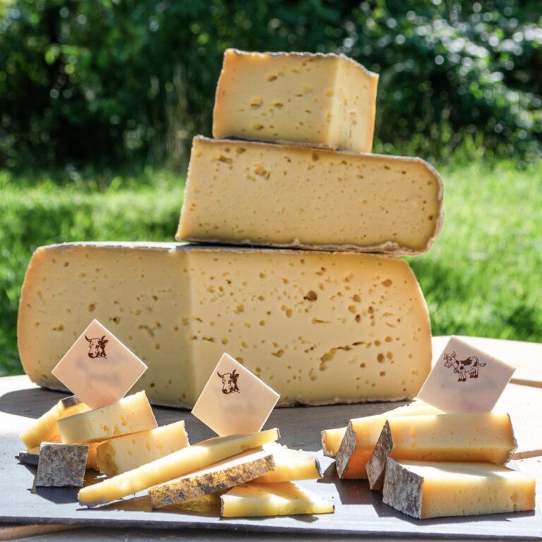 Vente des fromages parfait pour l'apéro