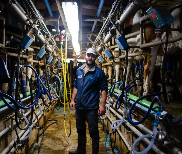Romain Hebert dans la salle de traite. Il est chargé d'une étape primordiale pour la production de fromages au lait cru.