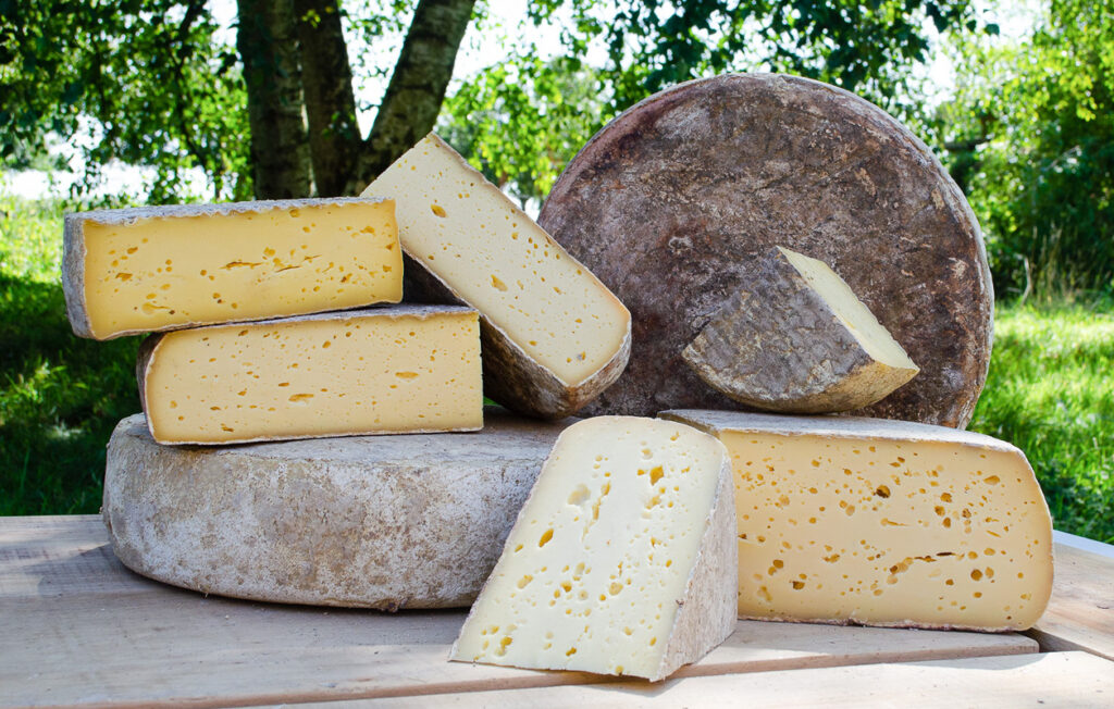 Quatre recettes de fromages normands à pâte pressée, affinés.