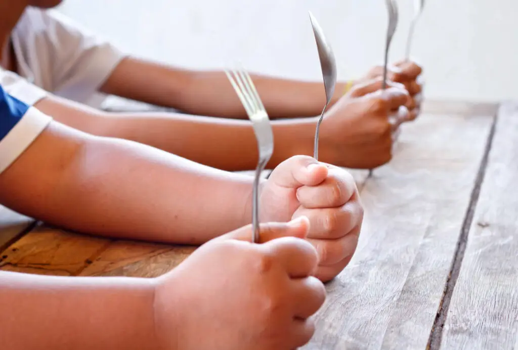 Fournisseur de fromage fermier locaux en circuit court pour les cantines scolaires