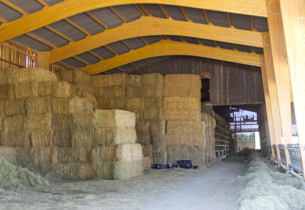 Un grand séchoir à foin avec de ballots de foin qui permet de produire l'alimentation de nos vaches toute l'année et produire de fromage normande bio d'excellent qualité