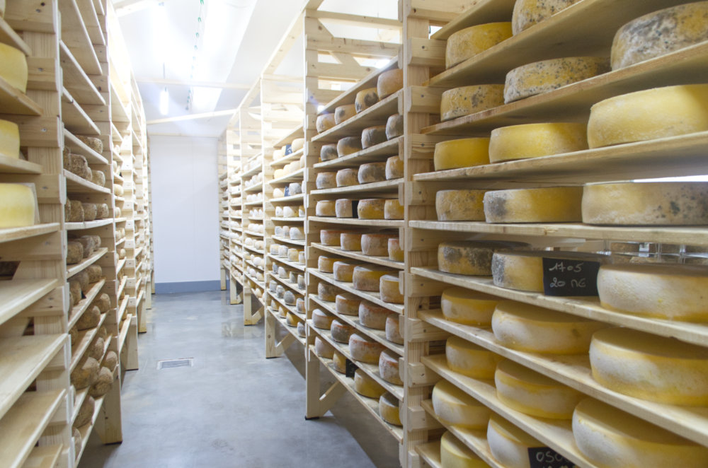 Une grande cave d'affinage remplis de fromage normand bio
