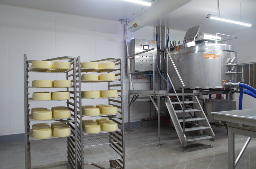 la nouvelle cuve de fromage et des fromages frais dans la salle de fabrication