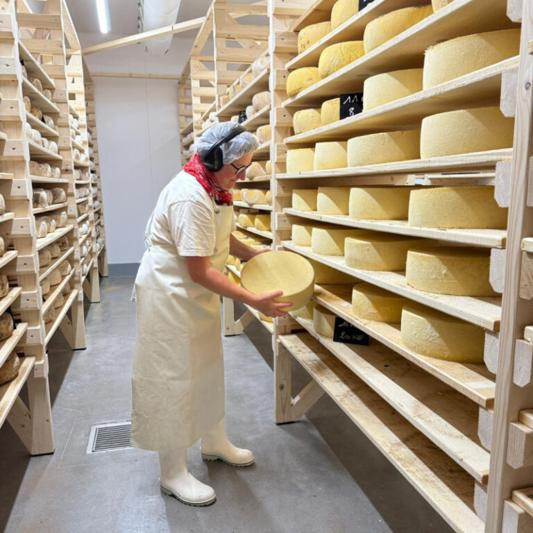 La fromagère soins nos fromages normands bio dans la cave d'affinage