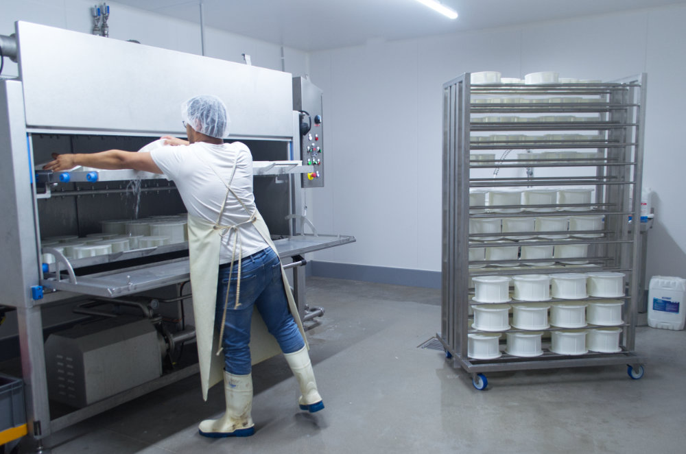 Un modern robot de lavage dans la nouvelle fromagerie